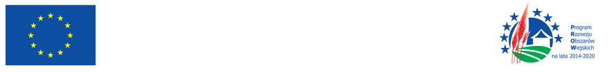 zdroweziarna_banner